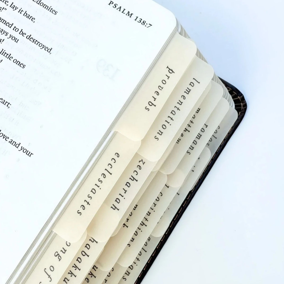 Sand Brown Script Bible Tab