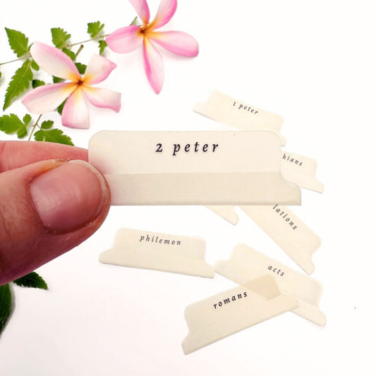 Sand Brown Script Bible Tab