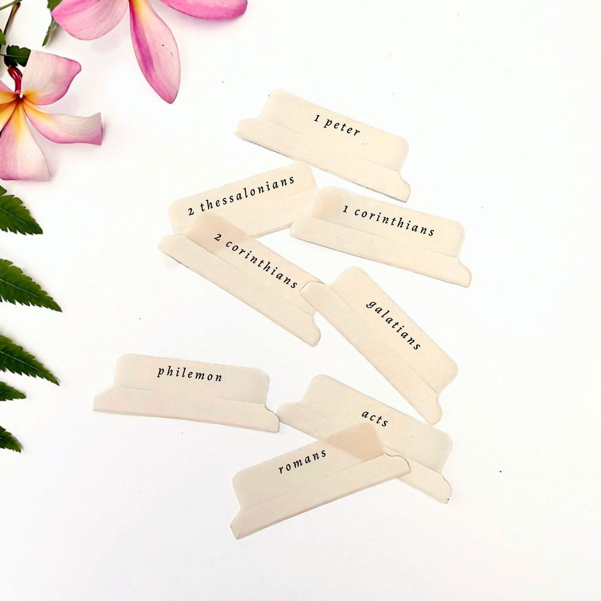 Sand Brown Script Bible Tab