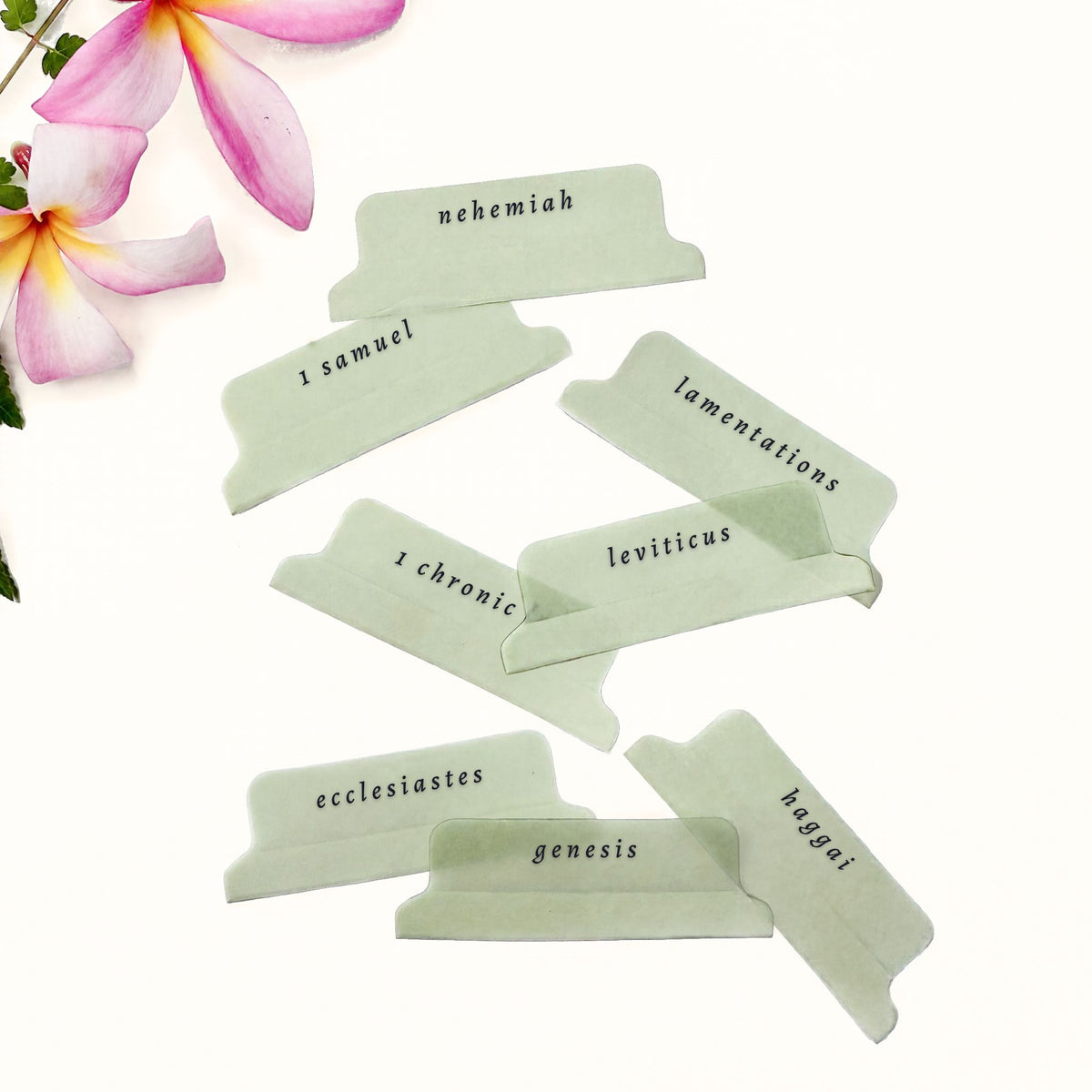 Sage Green Script Bible Tab