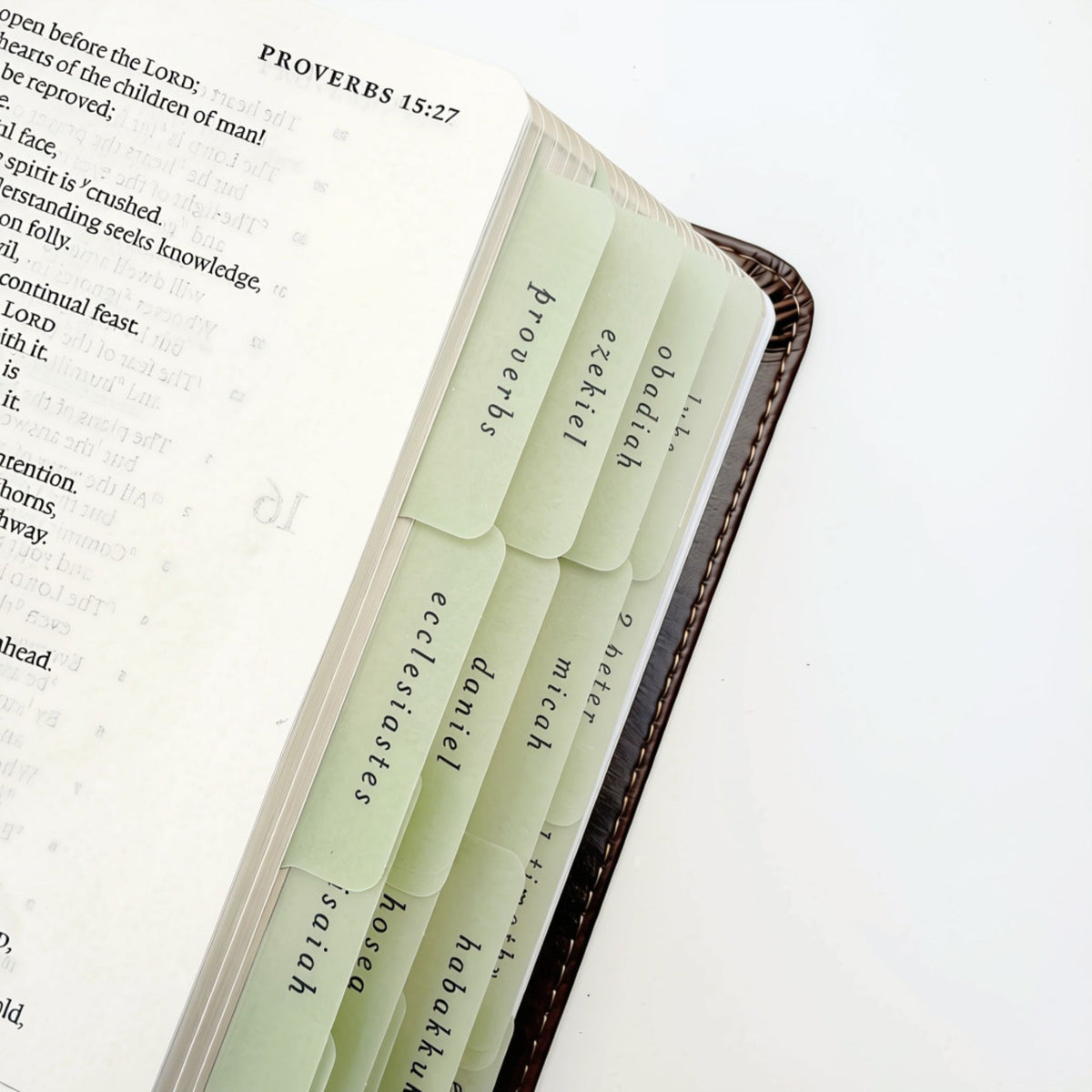 Sage Green Script Bible Tab