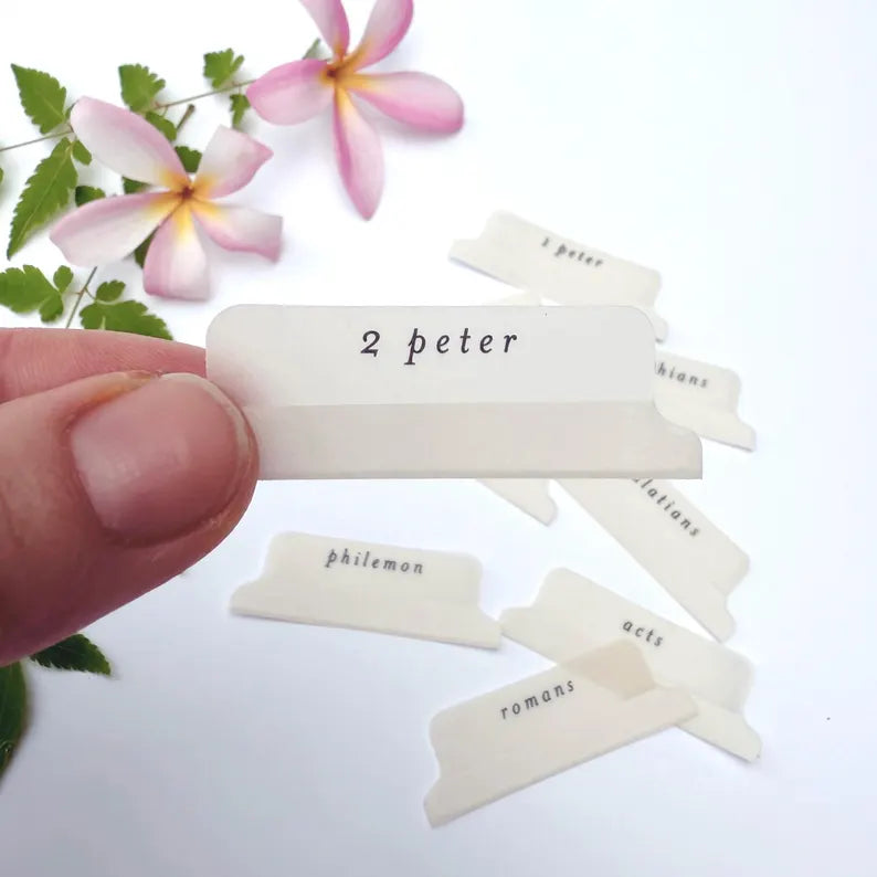Vellum Script Bible Tabs