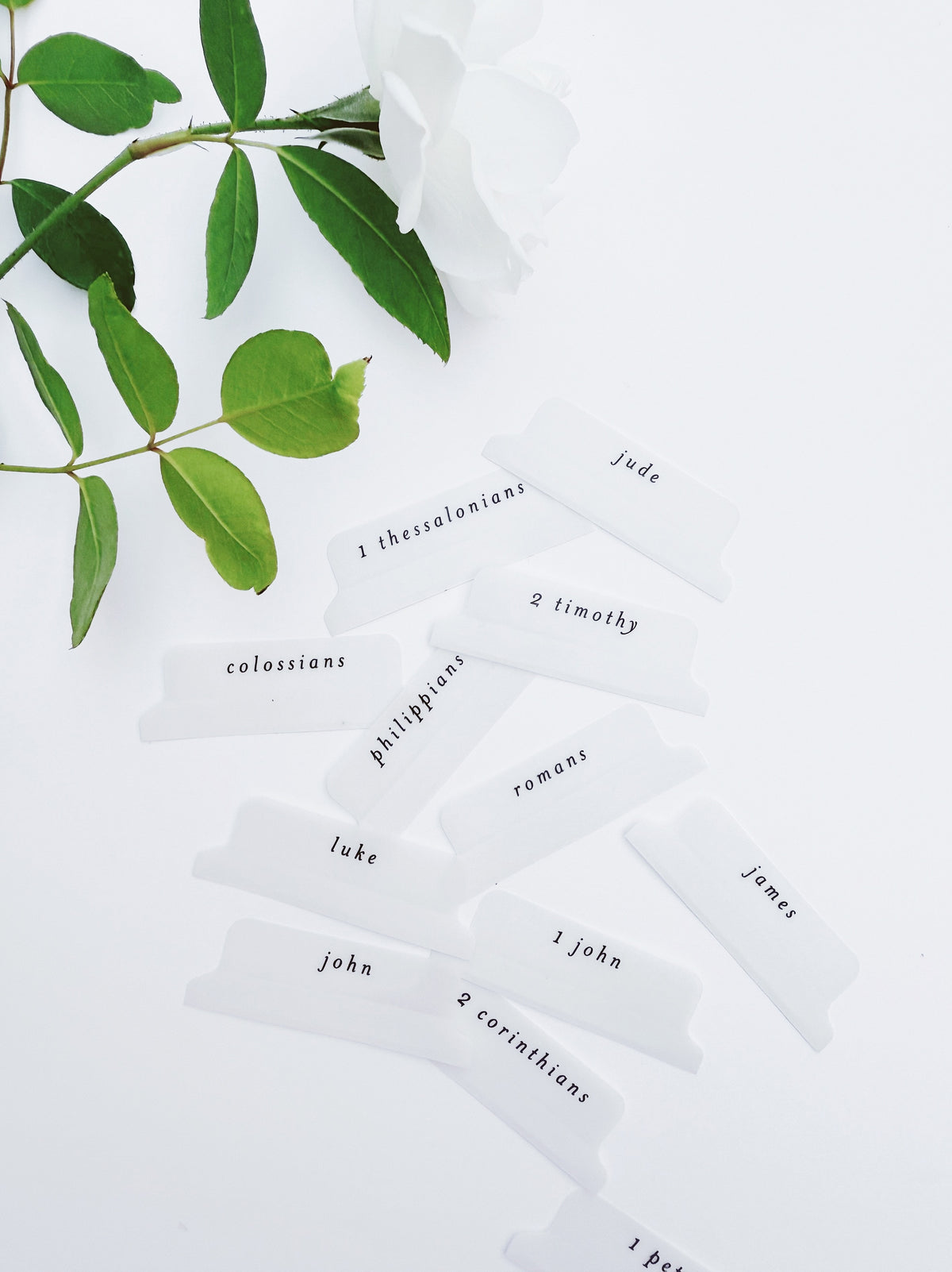 Vellum Script Bible Tabs